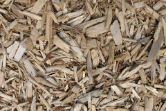 biomass boilers Resaurie